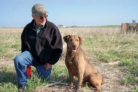 Breeders of chesapeake bay retrievers for 22yrs. A Chessie Man