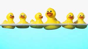 Hd wallpapers and background images. Ducky Wallpapers Top Free Ducky Backgrounds Wallpaperaccess