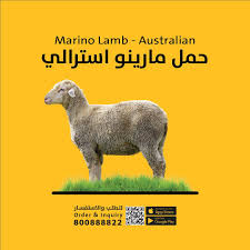 Check spelling or type a new query. Al Mawashi Uae Ø­Ù…Ù„ Ù…Ø§Ø±ÙŠÙ†Ùˆ Ø§Ø³ØªØ±Ø§Ù„ÙŠ Ù…ØªÙˆÙØ± ÙÙŠ ØªØ·Ø¨ÙŠÙ‚ Ø§Ù„Ù…ÙˆØ§Ø´ÙŠ Marino Lamb Australian Available At Al Mawashi App Facebook