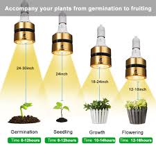 They emit a lot of light. Led Grow Light Bulb Full Spectrum 120w 150w 300w Sunlike Cob Led Plant Grow Lamp For Indoor Plant Greenhouse Veg Bloom Flowering Growing Lamp Bulbs Aliexpress