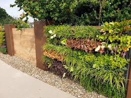 Projektprodukte Planung Wellness Garten Und Lifestyle Highlights In 2020 Pflanzen Vertikaler Garten Wandbegrunung