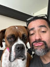 How to ensure a smooth recovery for a spayed dog with a energetic sibling?