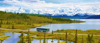 In addition, the park protects an incredible wilderness area that contains grizzly bears, caribou, moose, wolves, and numerous other creatures. Best Things To Do In Denali National Park Alaskatravel Com