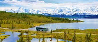Beneath dazzling mount mckinley, north america's highest peak, lies a broad expanse of open tundra, braided rivers, and abundant wildlife. Best Things To Do In Denali National Park Alaskatravel Com