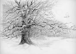 Black And White Pencil Drawings Of Trees January 2012 The Art Of Monte Ellis Tree Drawing Tree Pencil Sketch Pencil Drawings