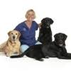 Maybe you would like to learn more about one of these? Best 30 Dog Food Plant In Canton Oh With Reviews Yp Com