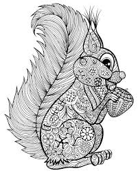 Go Nuts For A Squirrel Coloring Page Kidspressmagazine Com Squirrel Coloring Page Animal Coloring Pages Coloring Pages