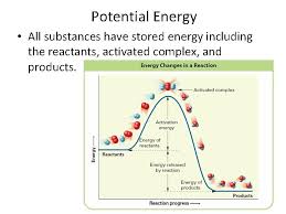 The activated b complex delivers several of these vitamins in their metabolically active forms to ensure your body uses them efficiently. Aim How To Graphically Represent The Energy Change