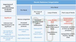 Image result for Diuretic
