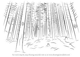 My name is pranjul mishra. Learn How To Draw A Forest Nature Step By Step Drawing Tutorials