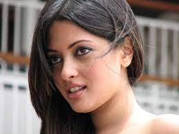 Riya Sen Wallpapers Bollywood Actresses Images Photos