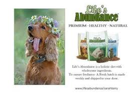 I was very impressed by the quality, ingredients, and the fact that life's abundance has never had a recall. Sarah S Canine Cuttery Independent Consultant For Life S Abundance Premium Dog And Cat Food Made Fresh And Sh Dog Food Recipes Premium Dog Food Food Animals