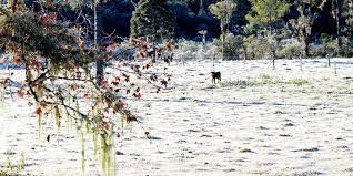 Maybe you would like to learn more about one of these? Rio Grande Do Sul Tem Frio Intenso E Soledade Registra Marca De 4 1Âºc