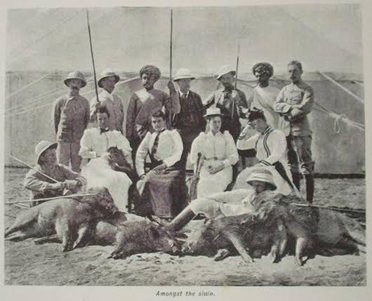 Pig Sticking | Faithful Readers