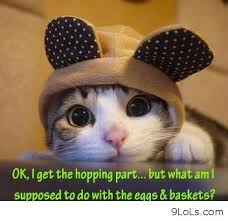 Love Quotes Funny Easter. QuotesGram via Relatably.com