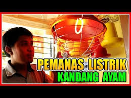 Pemanas air listrik jenis ini memang simple dan tidak memerlukan tabung. Electric Heater Pemanas Listrik Kandang Ayam Youtube
