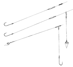 Check spelling or type a new query. Fishing Basics Nys Dept Of Environmental Conservation