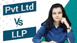 Bitcipher proudly powered by wordpress. Llp Vs Private Limited Company Comparison Ebizfiling