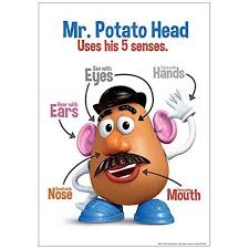 Eureka Classroom Posters Measures 13 X 19 Mr Potato Head 5 Senses In 2020 Potato Heads Mr Potato Head Senses
