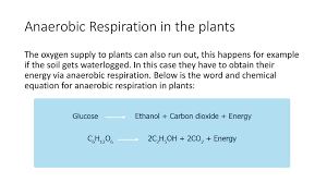 The Structure And Function Of Atp The Formation Of Atp In The Aerobic And Anaerobic Respiration Prezentaciya Onlajn