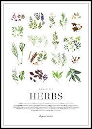 Jun 29, 2021 | view edit history. Herbs Poster Krauter Gewurze Poster Fur Die Kuche Posterstore De