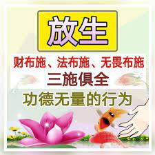 pin by 张小瑞on 问答 开示 buddha quotes quotes buddha