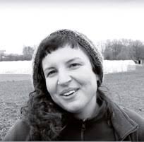 Moestuinen: telen in de stad