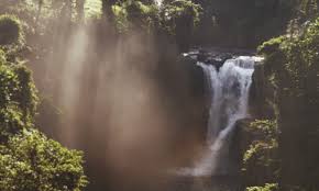 This blog is a photo world travel that will help you choose the best destination trip for your next adventure. Annstreetstudio The Magnificent Nature Of Bali Waterfall Nature Waterfall Nature