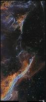 Image result for Astropanax