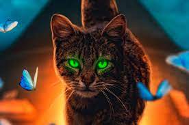 Free cat screensaver and background. Cat Walking 4k Hd Wallpapers Wallpaper Cave