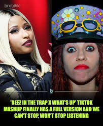 It starts with a seed and quickly blossoms into a forest. That is the best  visual I can think of for how quickly these TikTok mashup songs take over  your 'For You'