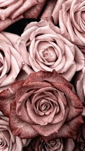 Flower phone wallpaper iphone background wallpaper aesthetic iphone wallpaper screen wallpaper cellphone wallpaper aesthetic wallpapers wallpaper art apple wallpaper nature wallpaper. Pin By Brittany Lynn York On Me Rose Gold Wallpaper Rose Gold Aesthetic Gold Wallpaper