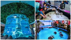 Antara lokasi wajib perlu dikujungi apabila berada di melaka. 11 Tempat Tarikan Terbaru Di Melaka Sesuai Untuk Seisi Keluarga