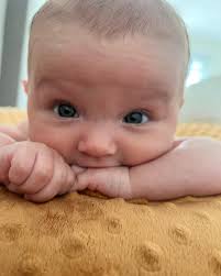 ADAM AMPED 🇺🇸 ⚡️ (@adamamped) • Instagram photos and videos