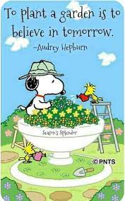 Seems Appropriate Given The Current Situation Gardening Garden Diy Home Flowers Roses Nature Landscaping Ho Snoopy Snoopy Quotes Charlie Brown Quotes
