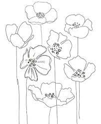 Pin By Maria On Cartoon Flower Line Drawings Flower Drawing Poppy Flower Drawing