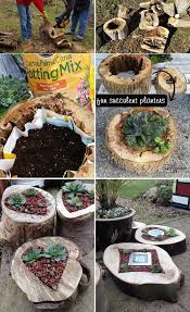 19 Skvelych Urob Si Sam Napadov Na Vyuzitie Guľatiny A Kmena Stromu Vo Vasej Zahrade Sukkulente Topfe Diy Gartenideen Baumstamm Garten