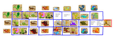 User Blog Bluemadness Better Quality Dv Breeding Chart