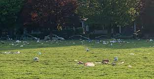 Trinity bellwoods park is located at strachan and queen street west in toronto, ontario. Trinity Bellwoods Park Was Completely Trashed Again This Weekend News