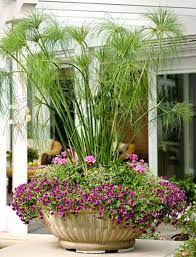 30 Easy Summer Container Garden Flowers Ideas Garden Containers Container Gardening Flowers Container Gardening