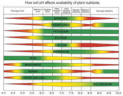 Importance Of Soil Ph Soil Care Jonathan Green