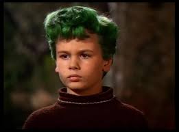 The boy with green hair movie summary