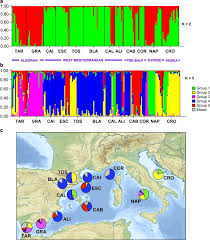 Population Structure And Connectivity In The Mediterranean