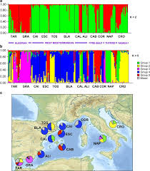 population structure and connectivity in the mediterranean