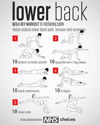 Lower Back Lower Back Exercises Back Exercises Back Workout