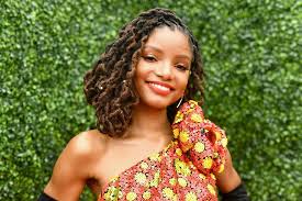And know more this related. Halle Bailey Age Height Parents Net Worth Instagram 2021