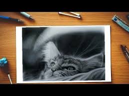 Check spelling or type a new query. Pet Cat Kucing Drawing Realistic Cat Drawing Hyper Realistic Cat Cute Cat Youtube Art Pencilart Skets Realistic Cat Drawing Cat Drawing Drawings