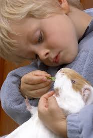 idéer til de pædagogiske læreplaner