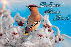 ÐÐ¾ÑÐ¾Ð¶ÐµÐµ Ð¸Ð·Ð¾Ð±ÑÐ°Ð¶ÐµÐ½Ð¸Ðµ