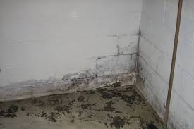 Waterproofing a basement is a really intricate concern. Repairing Cracks In The Basement Which Are Not Leaking